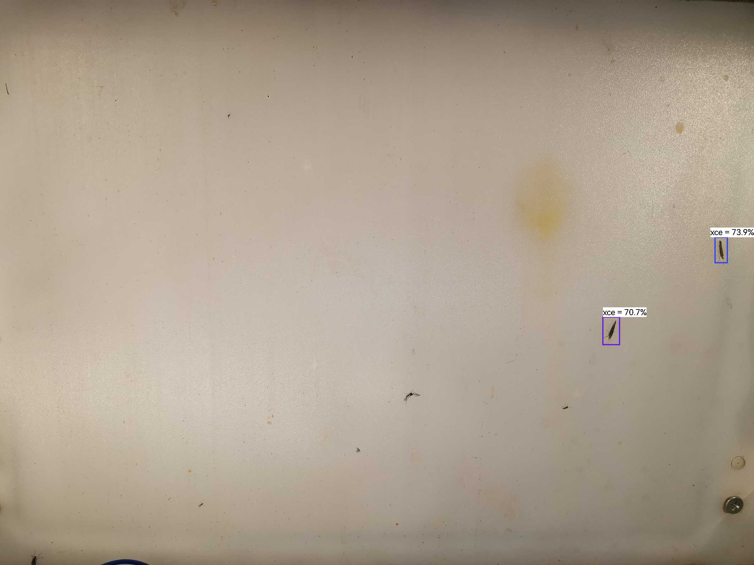 虫情图片22:08:34