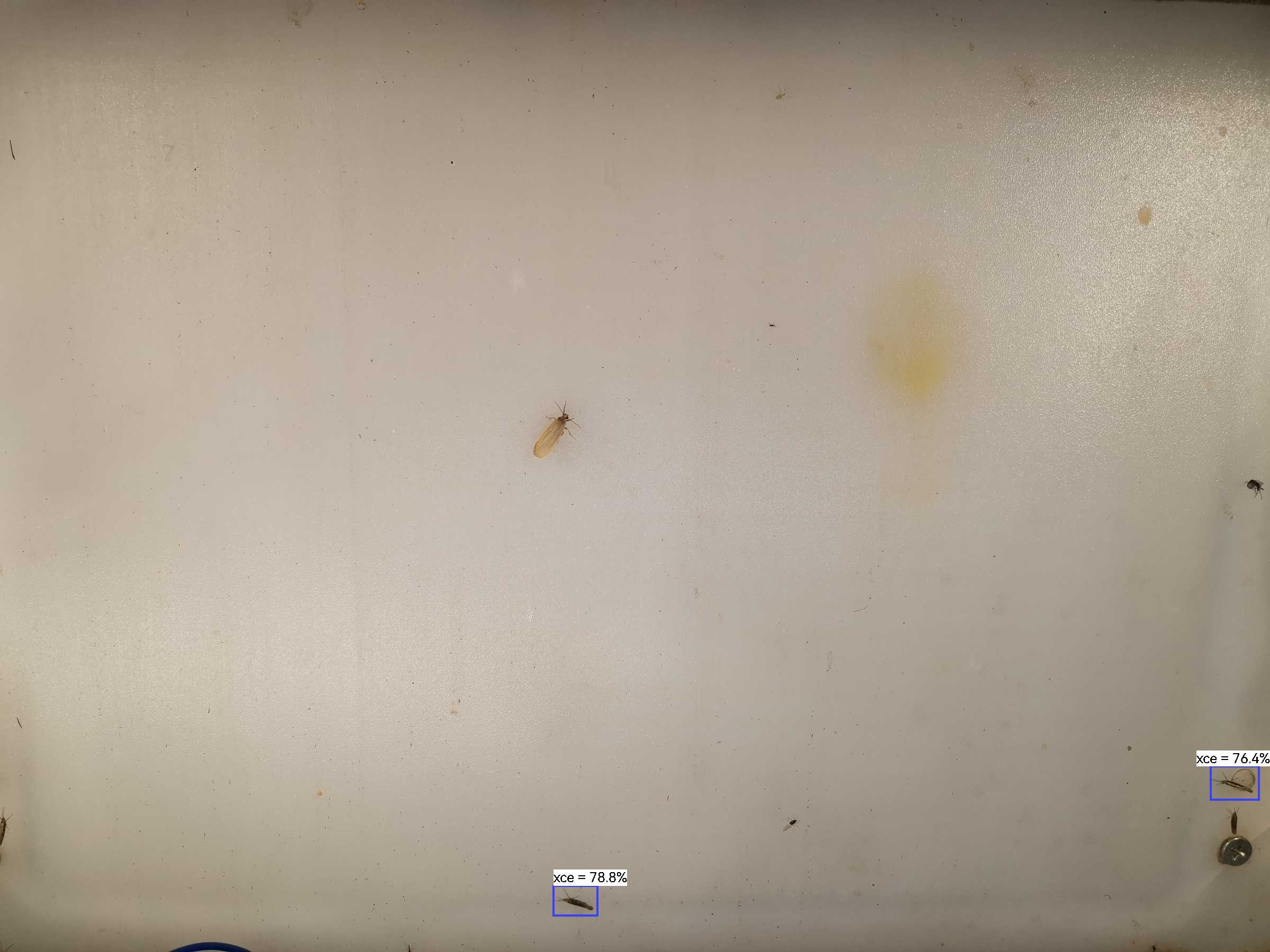 虫情图片22:50:17