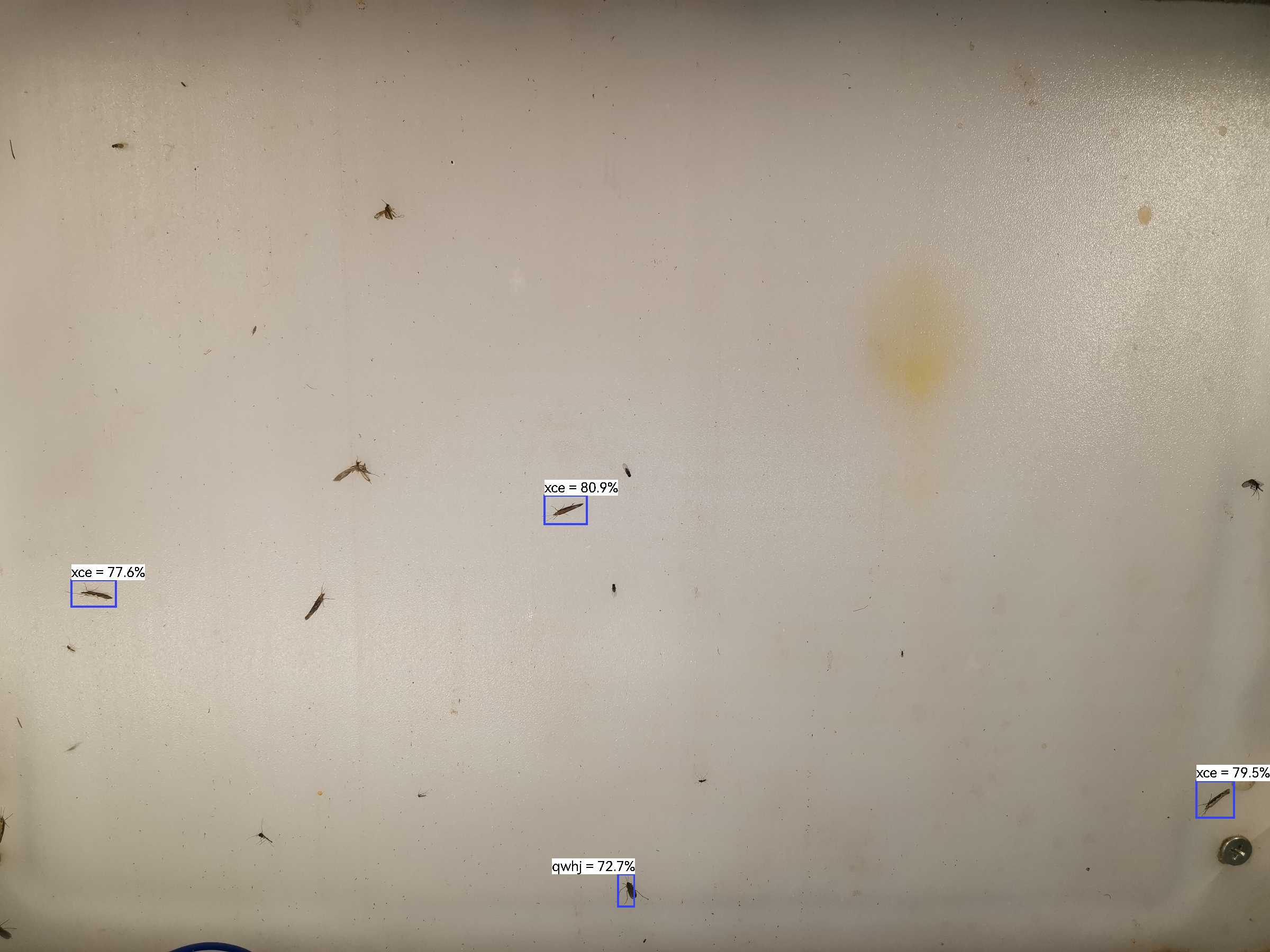 虫情图片23:08:37