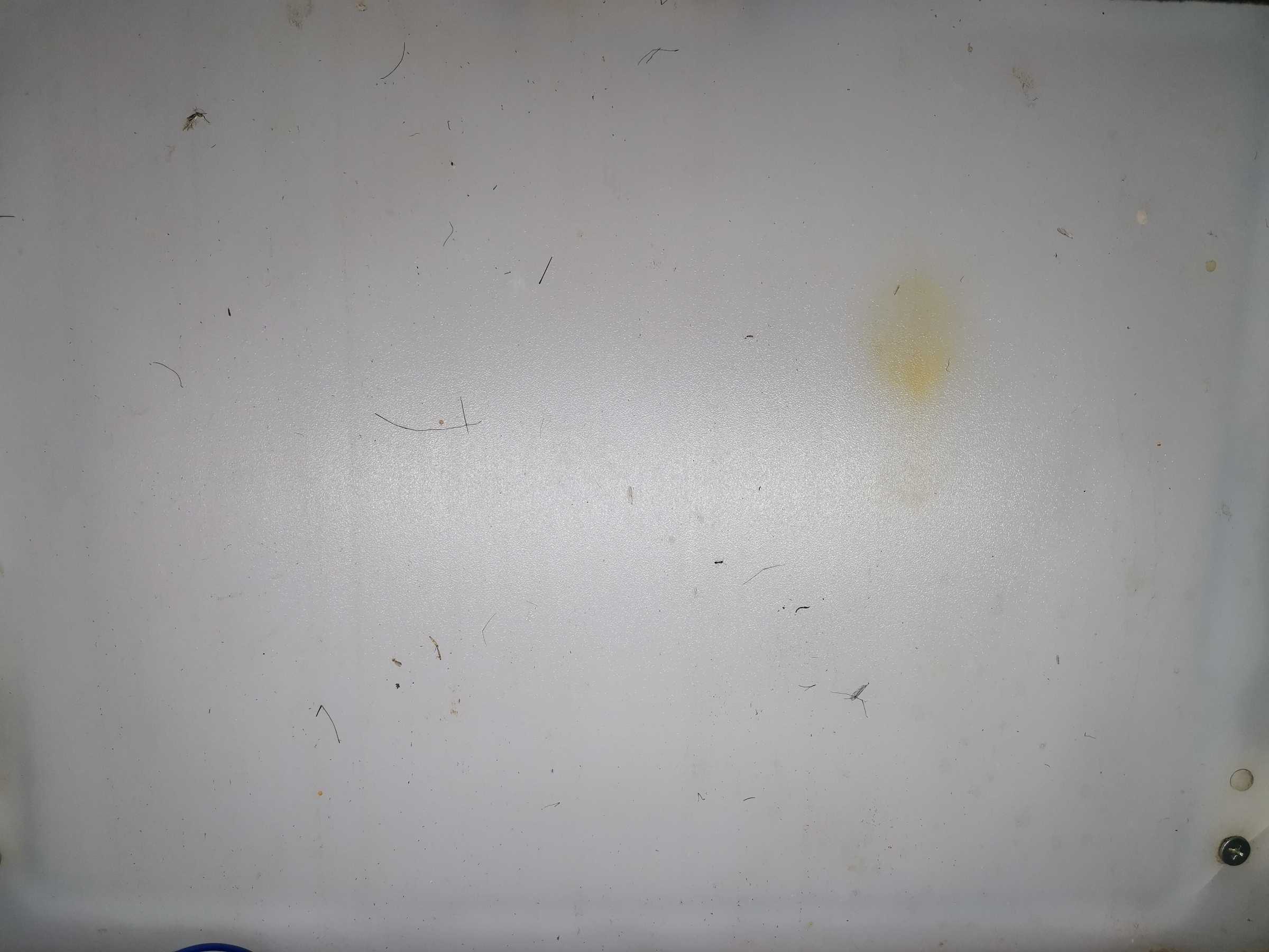 虫情图片19:03:59