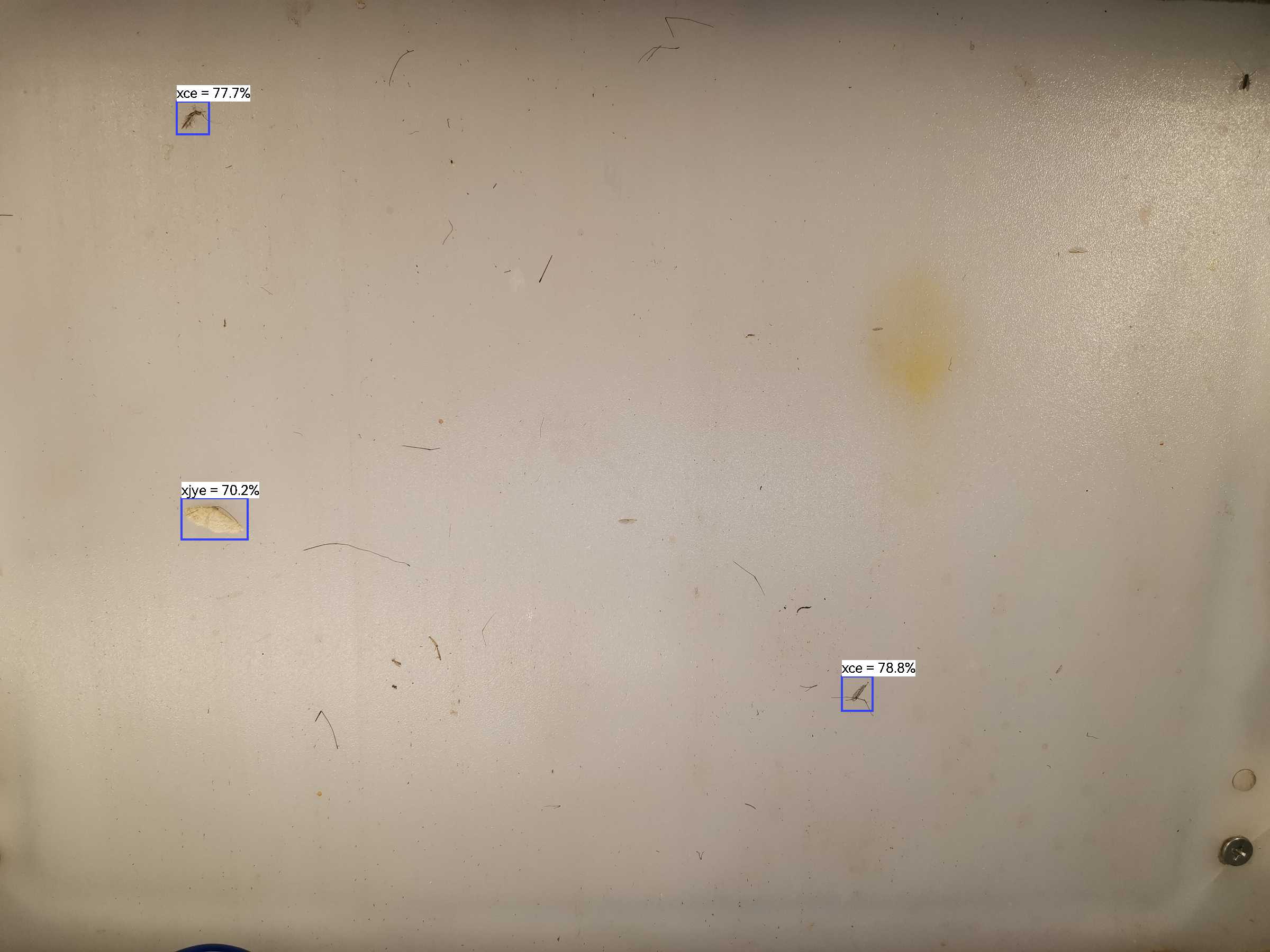 虫情图片19:32:44