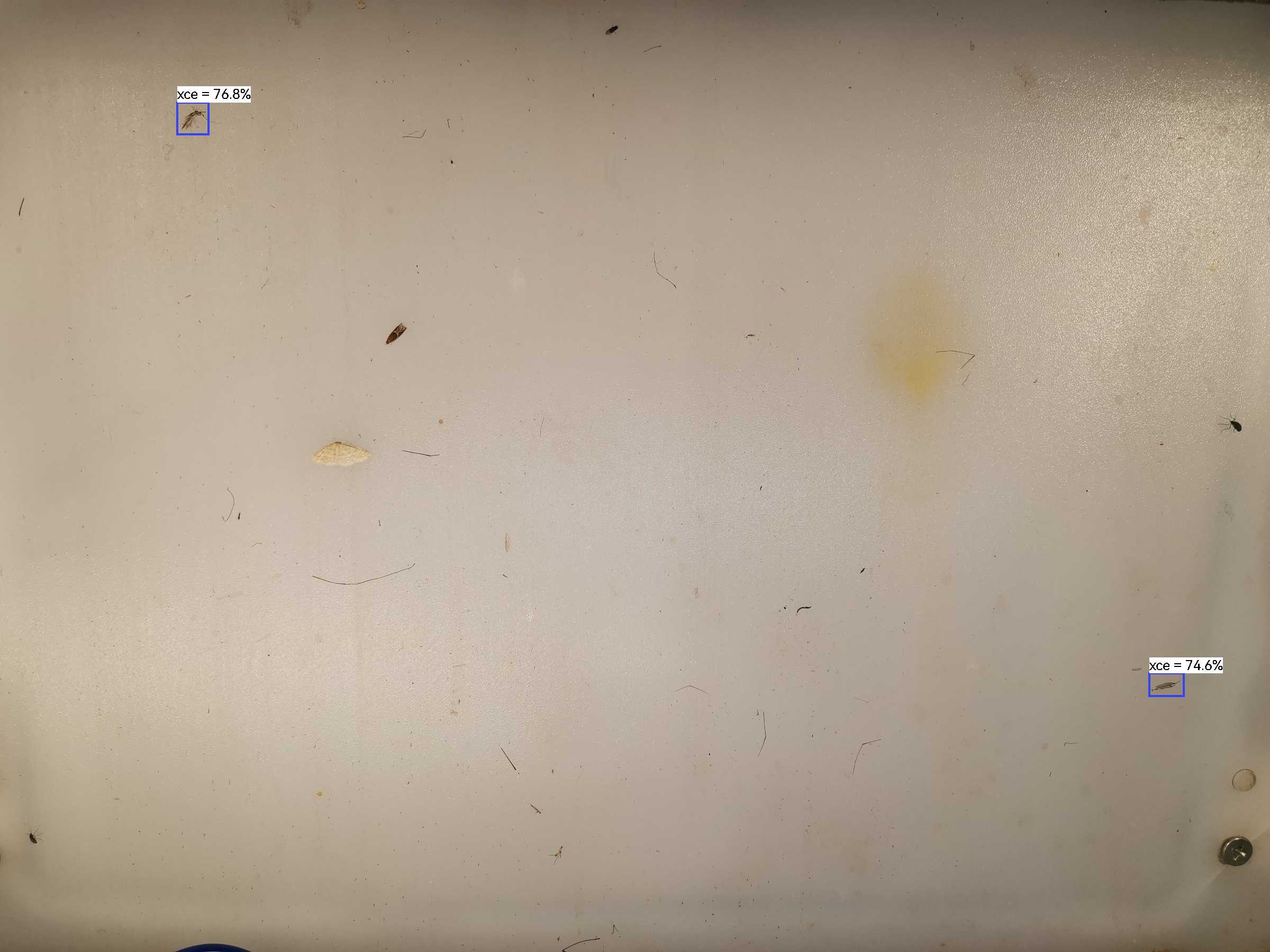 虫情图片20:02:59