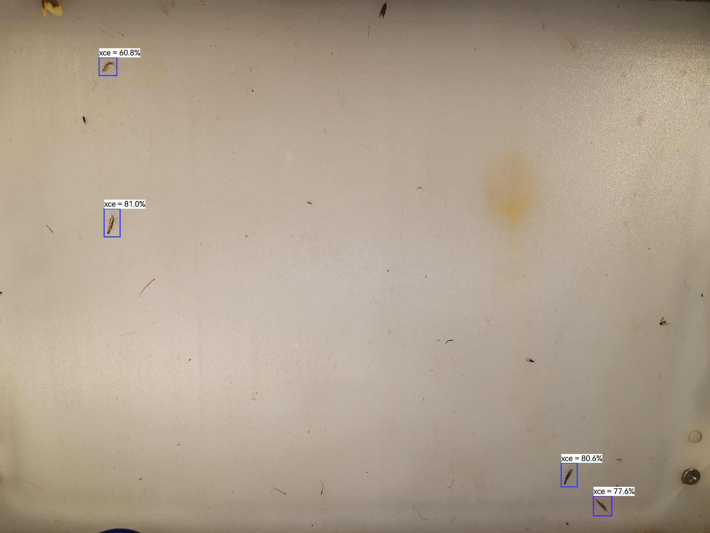 虫情图片21:02:46