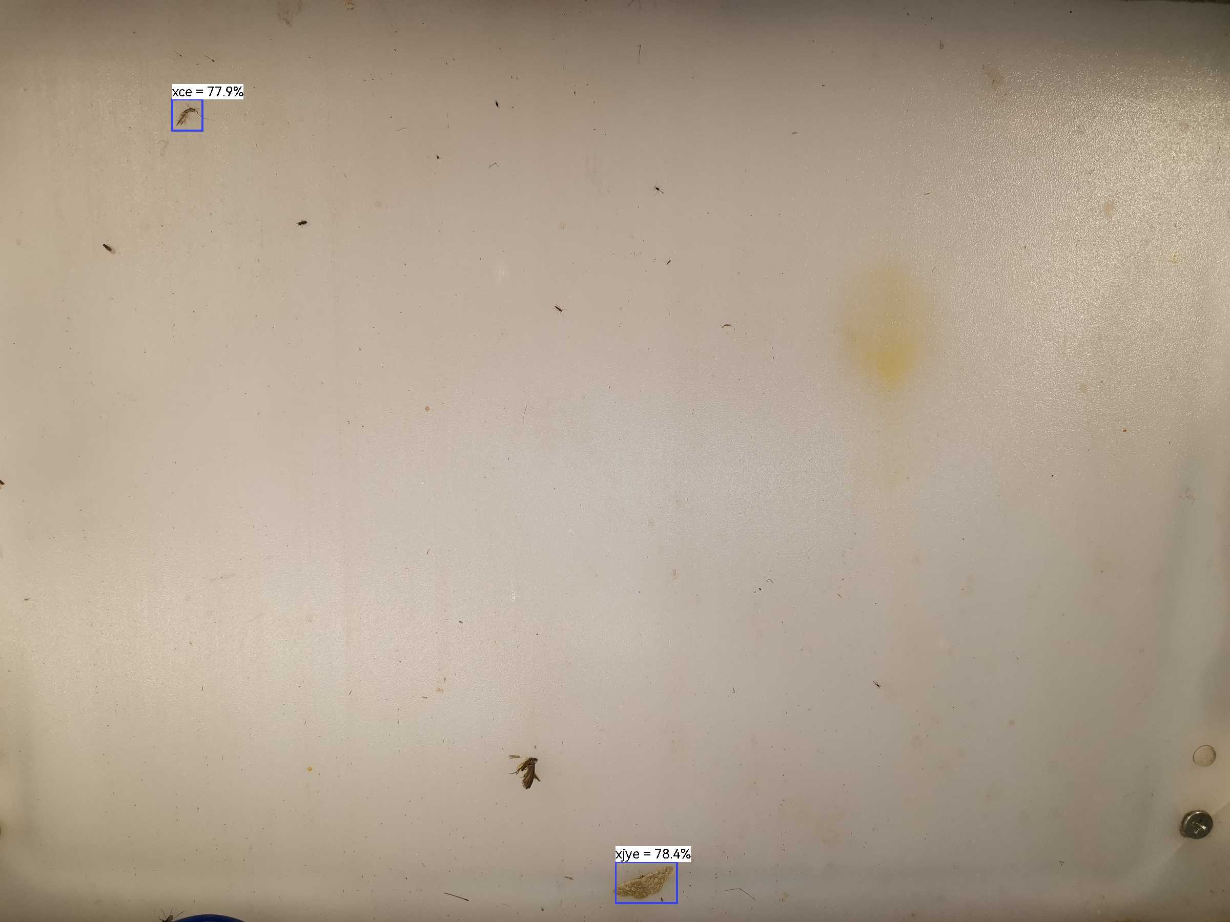 虫情图片21:32:44