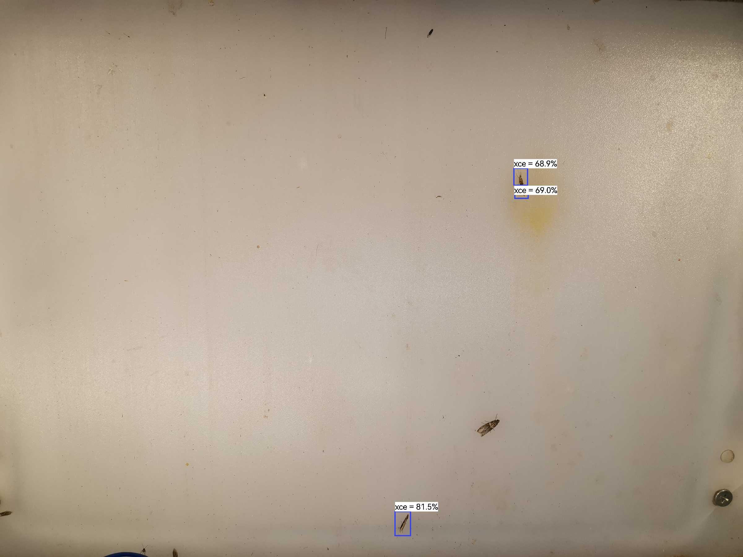 虫情图片22:02:46