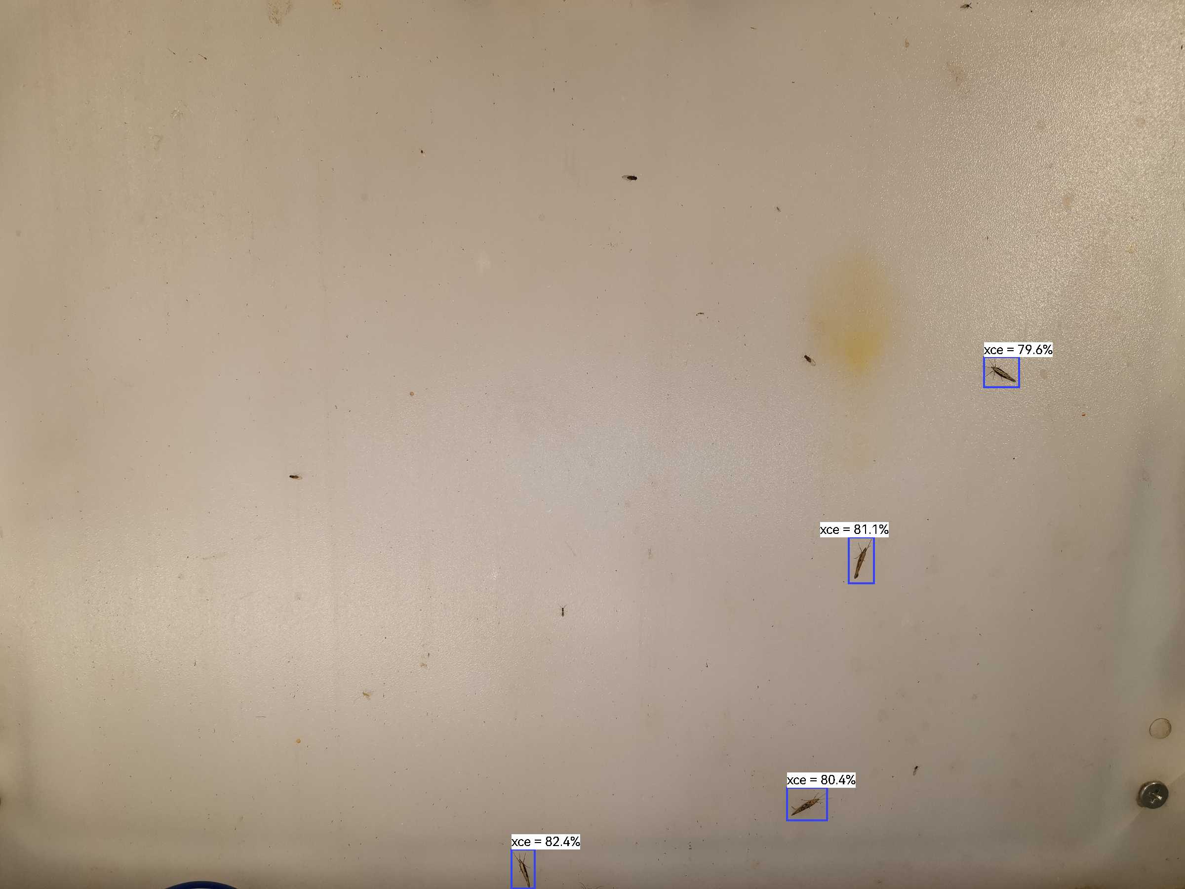 虫情图片22:32:44