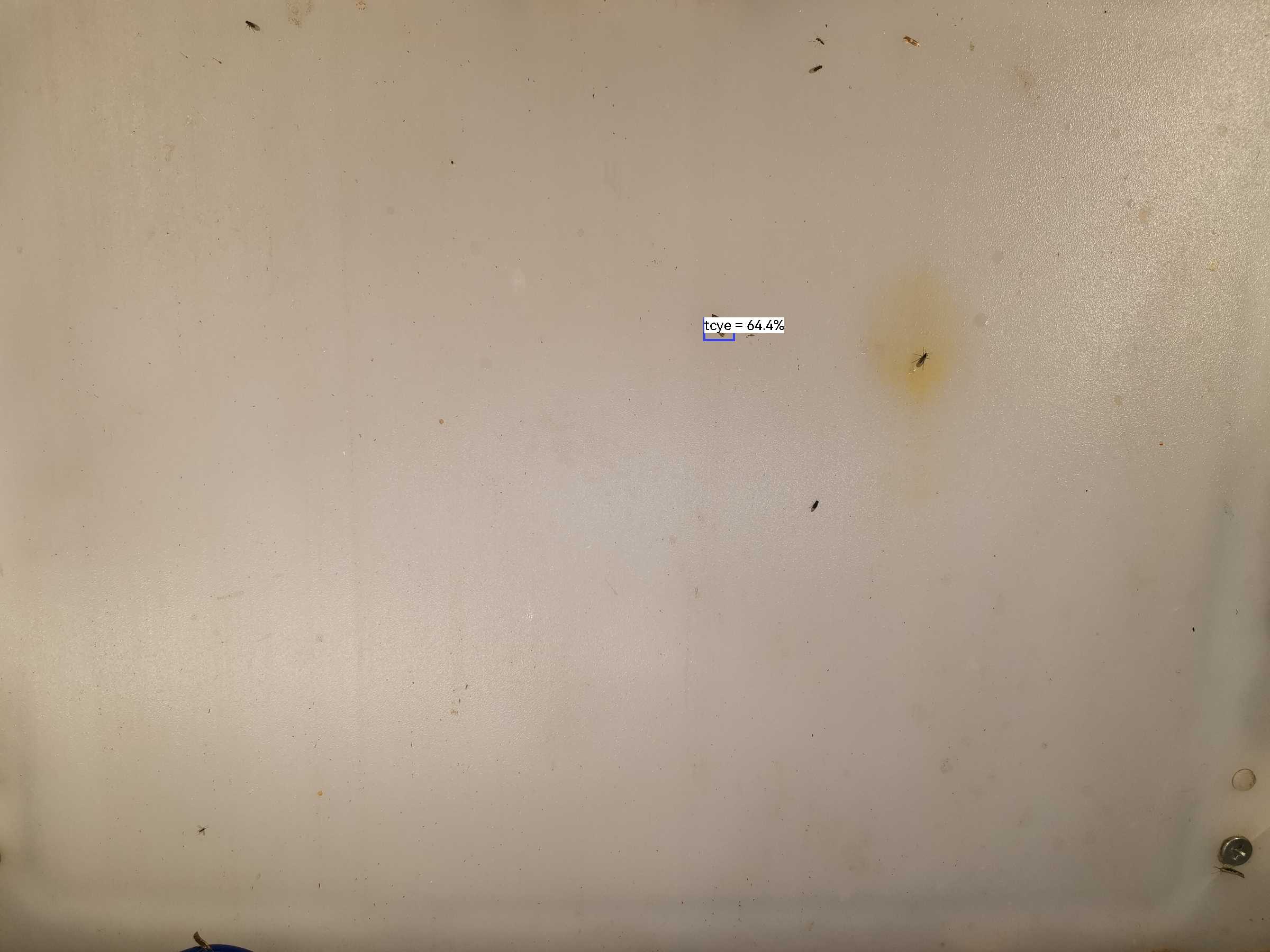 虫情图片23:02:45