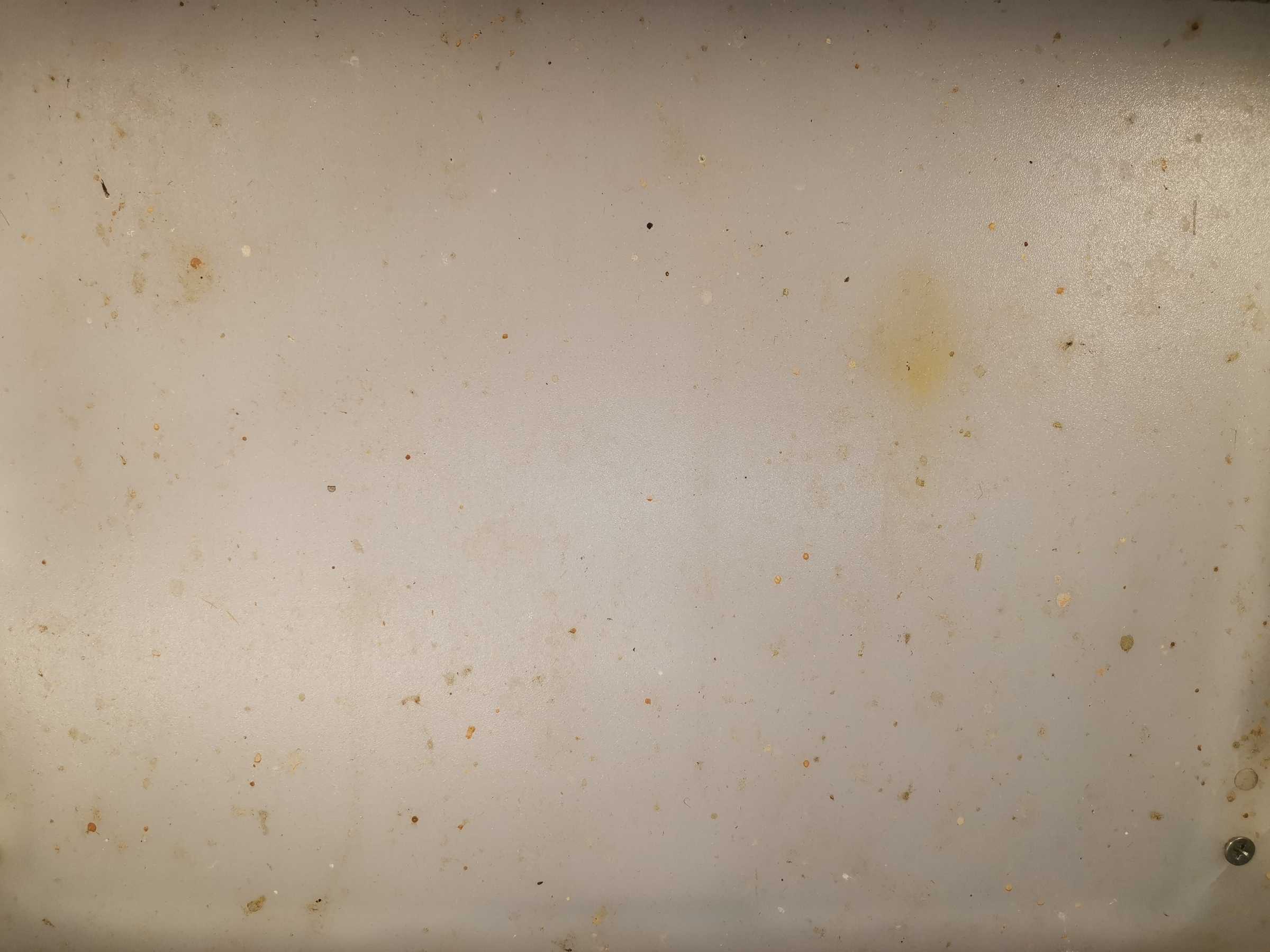 虫情图片19:35:53