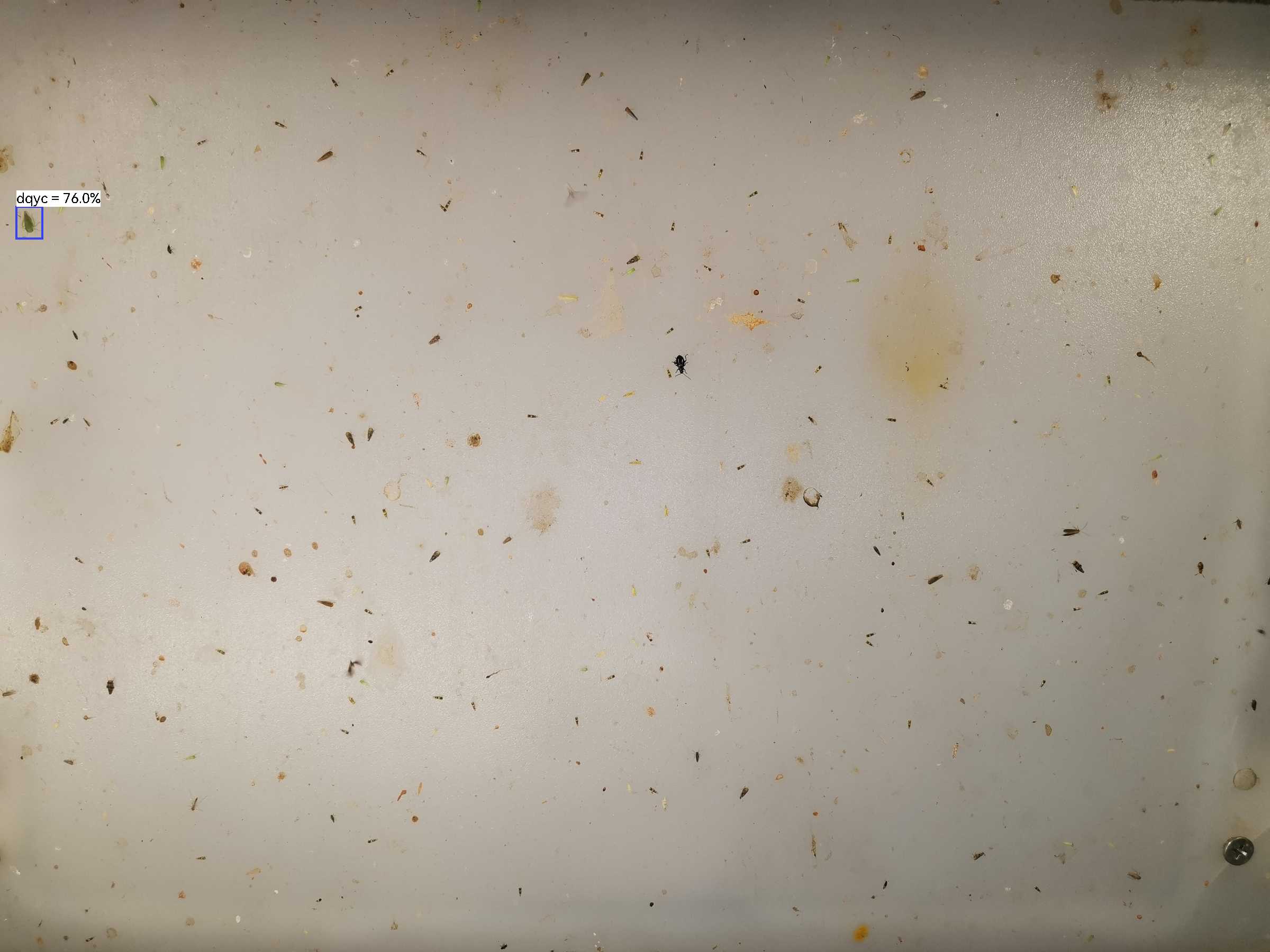 虫情图片21:08:42