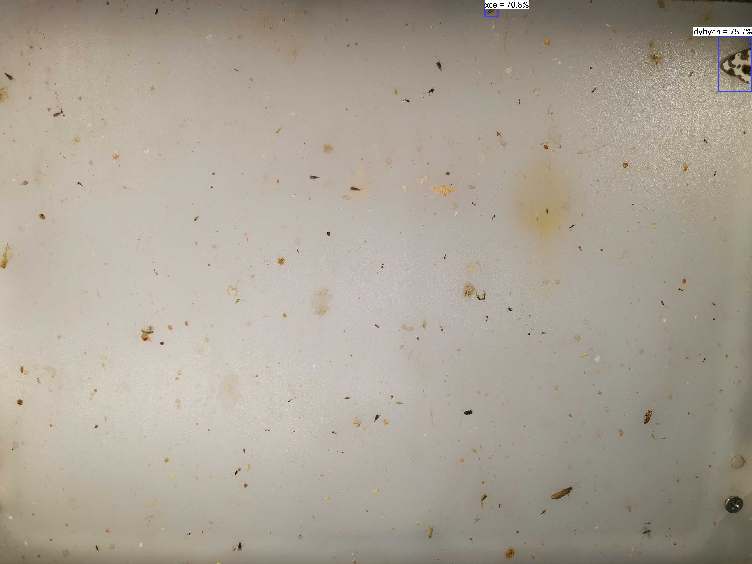 虫情图片21:08:52