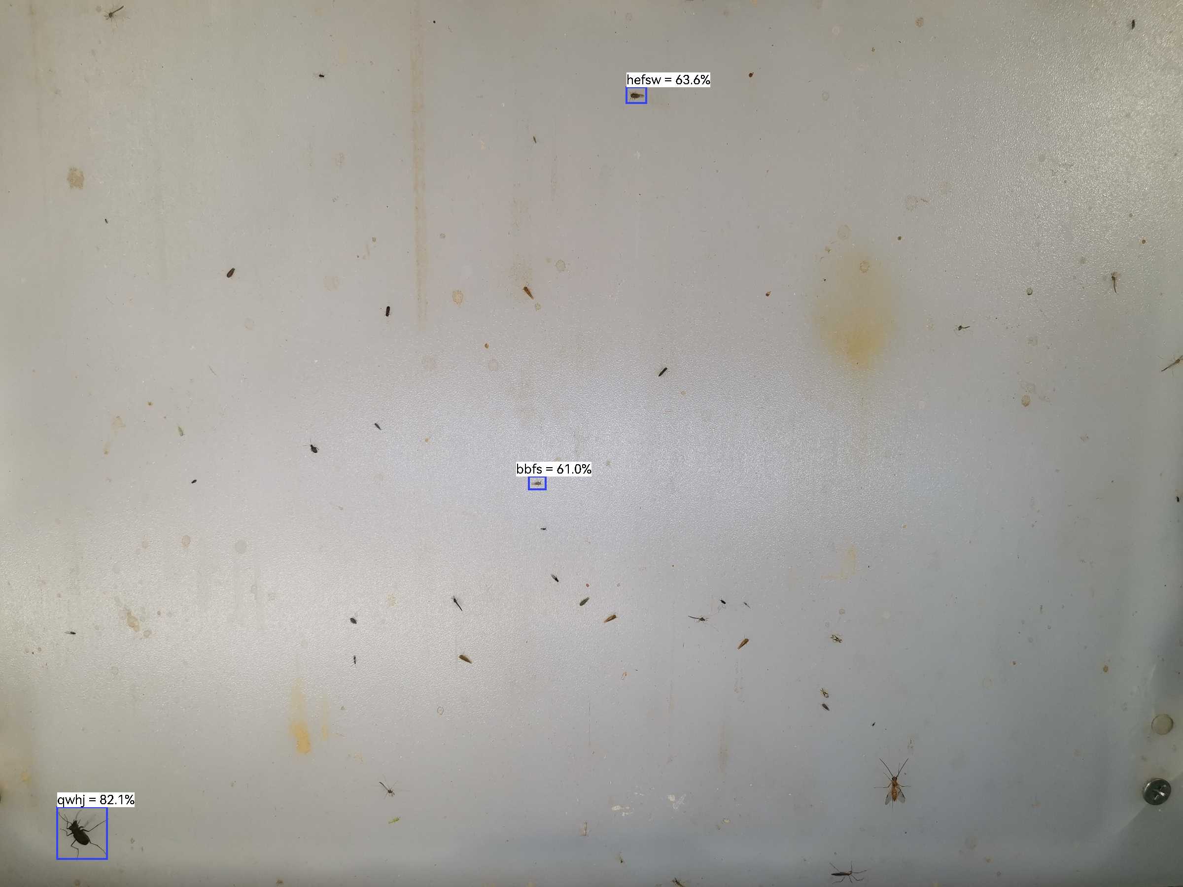虫情图片22:03:20