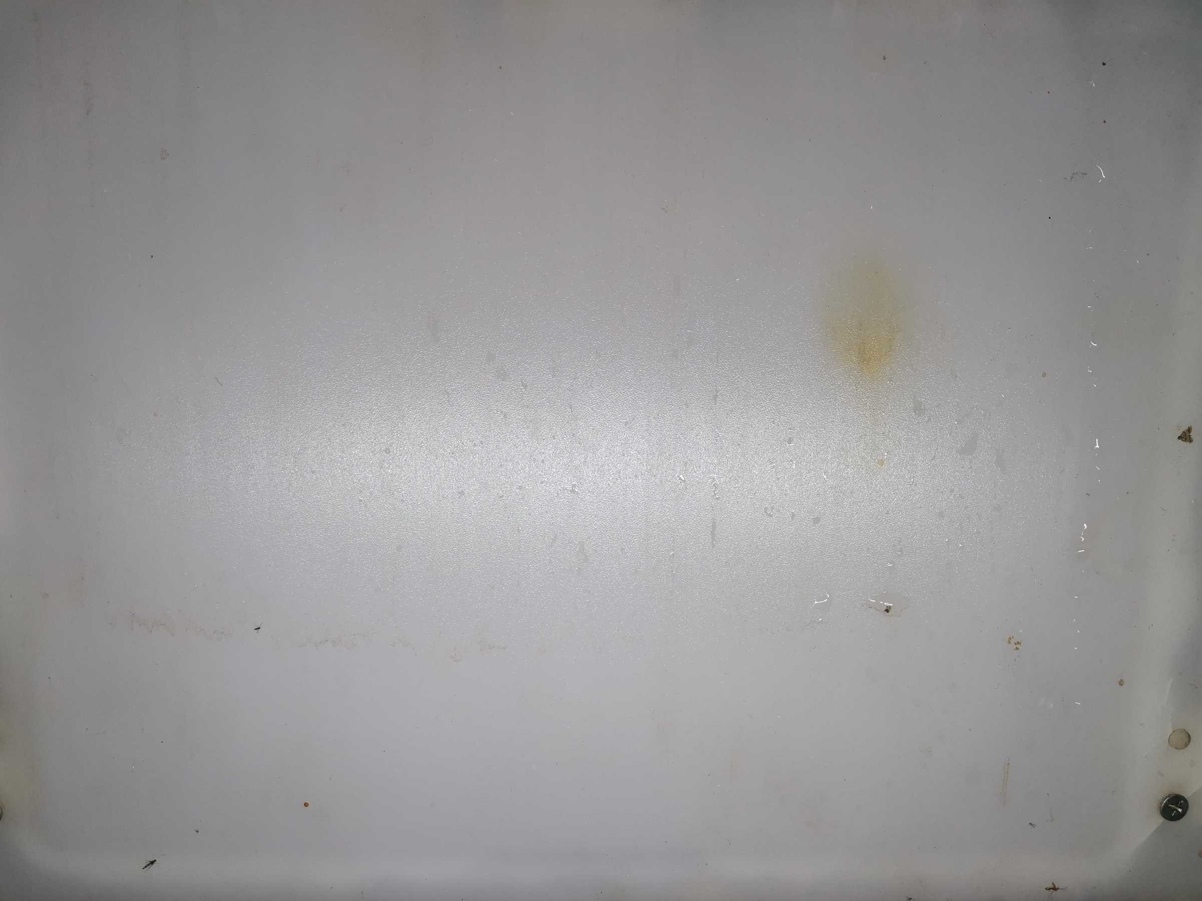 虫情图片19:10:07