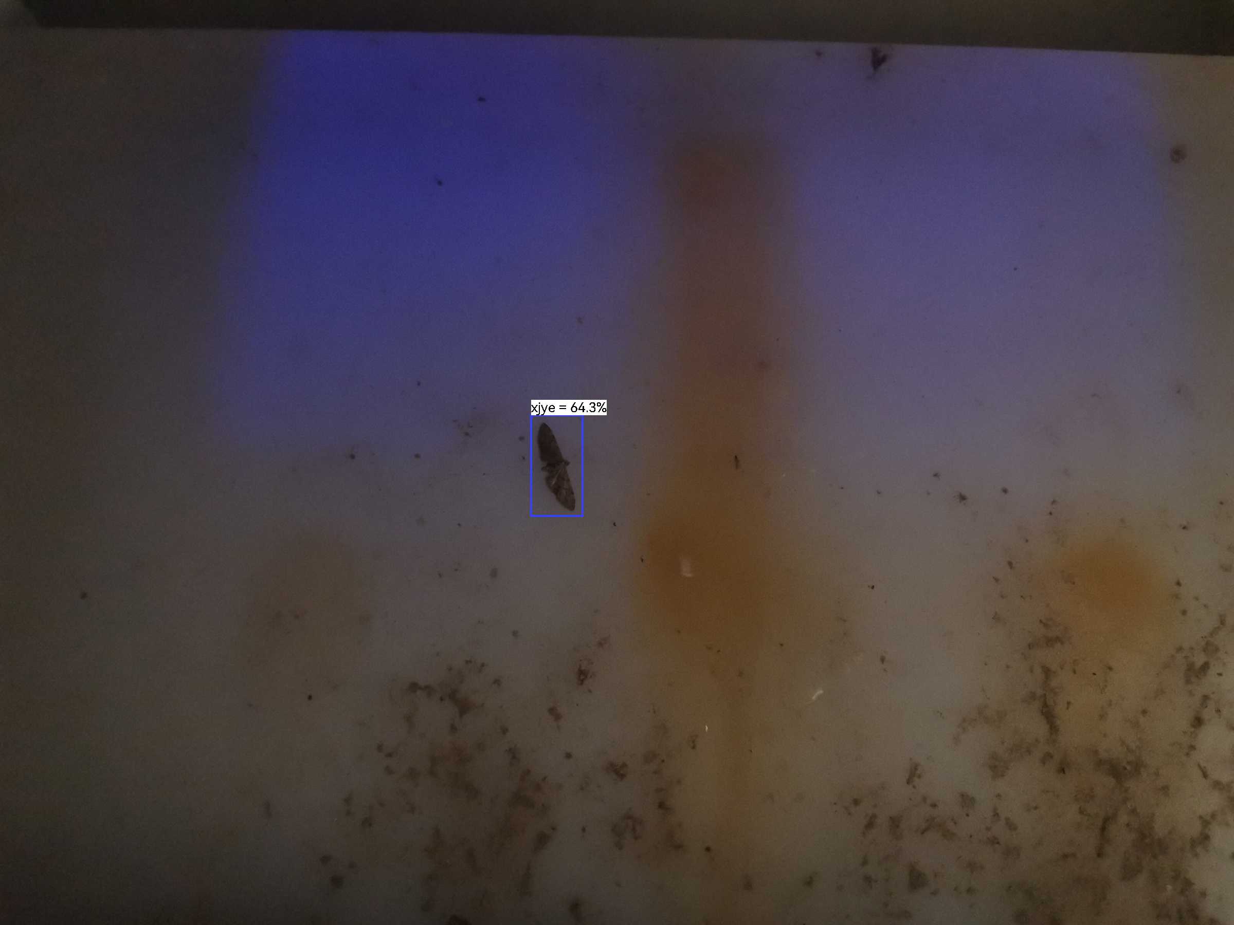 虫情图片20:10:58