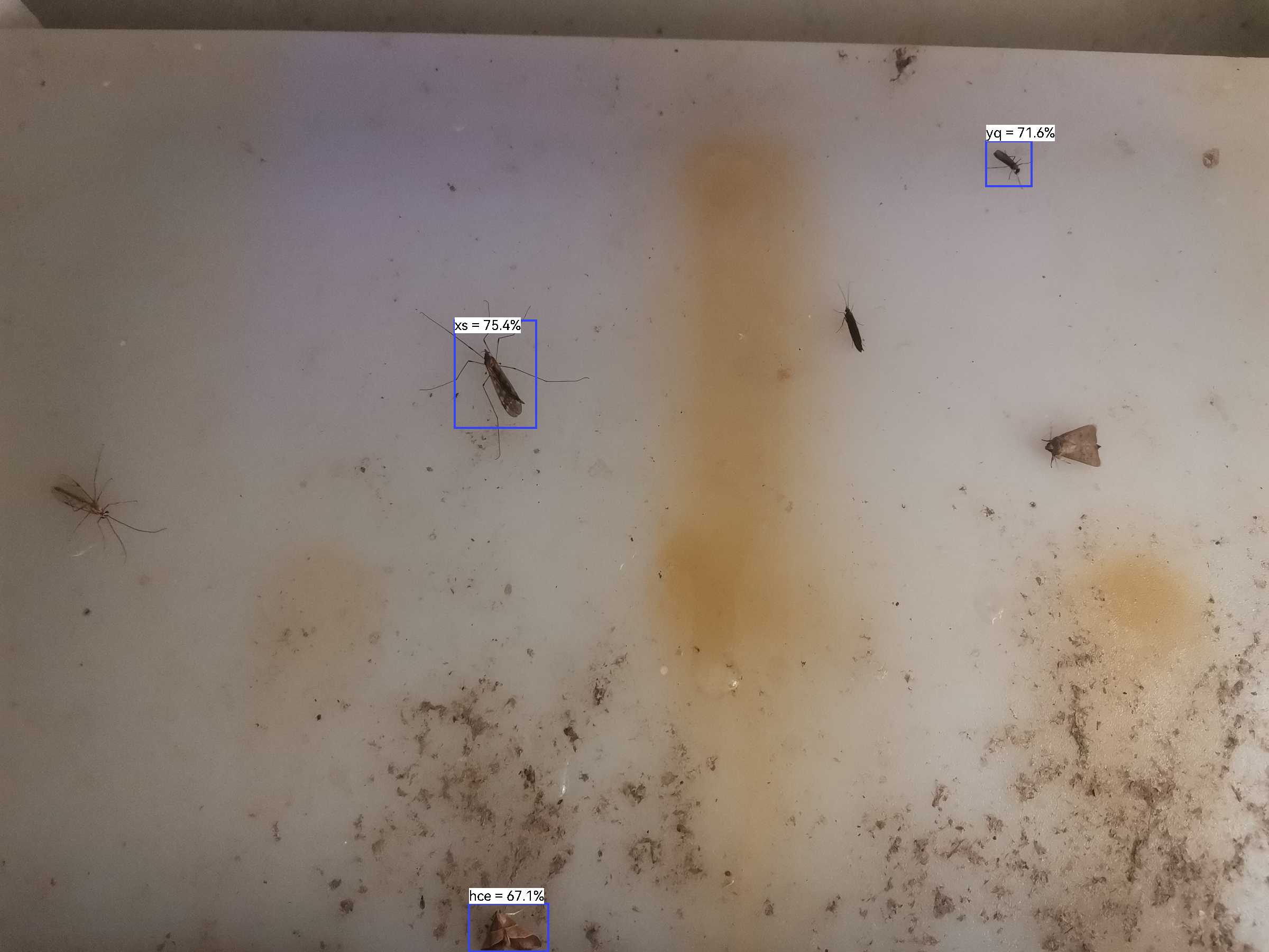 虫情图片22:12:42