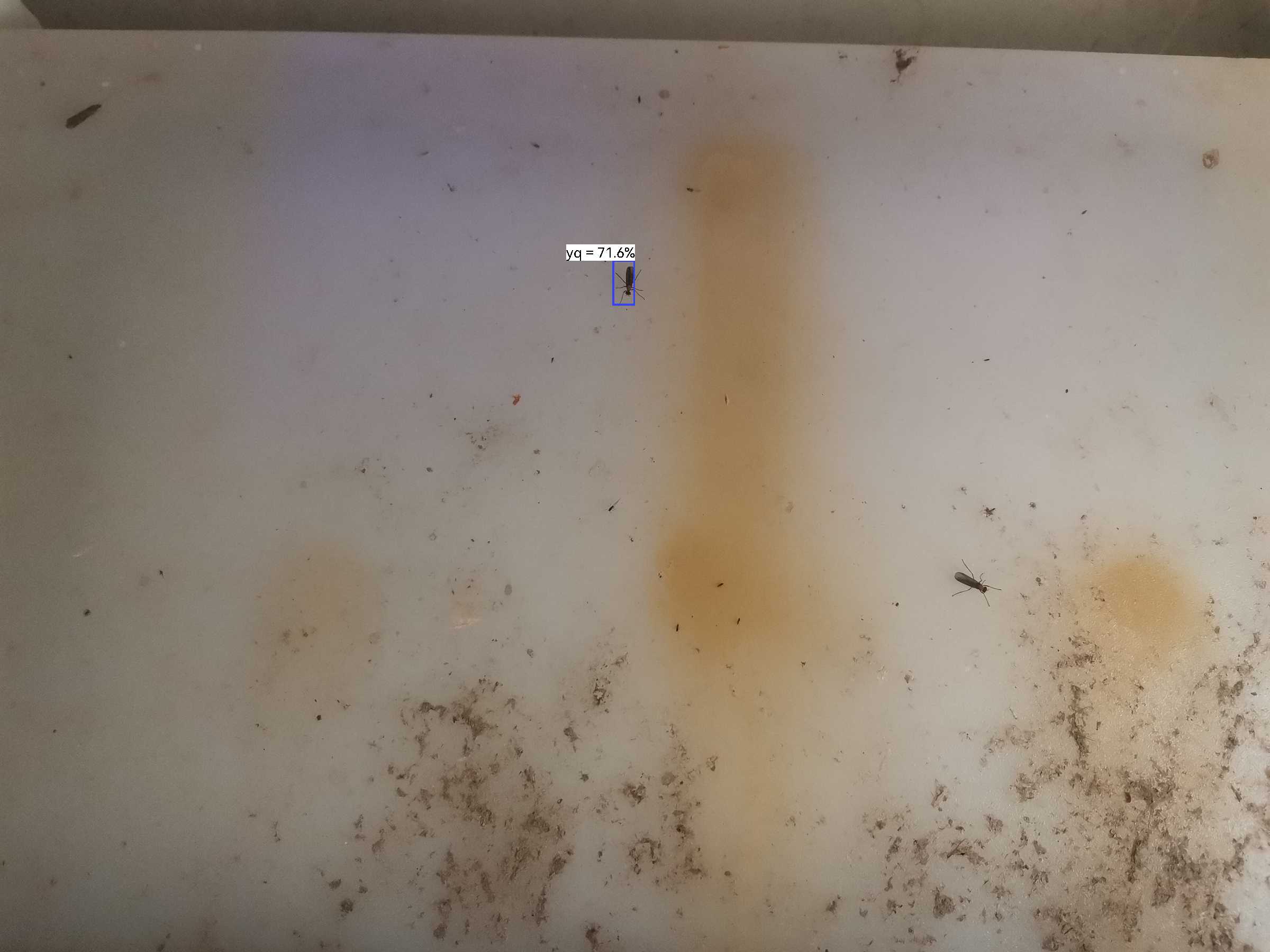 虫情图片21:48:45