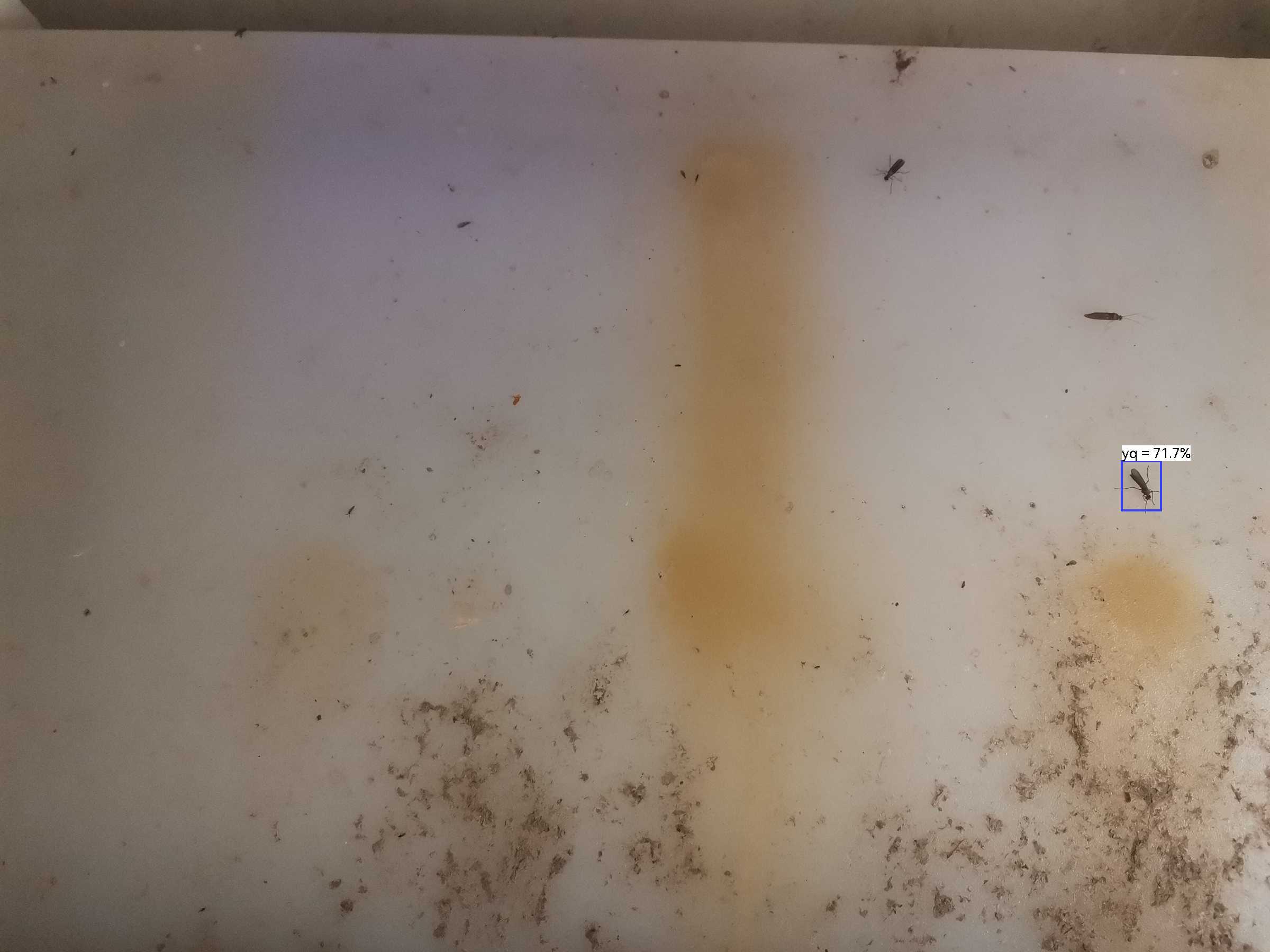 虫情图片22:42:21