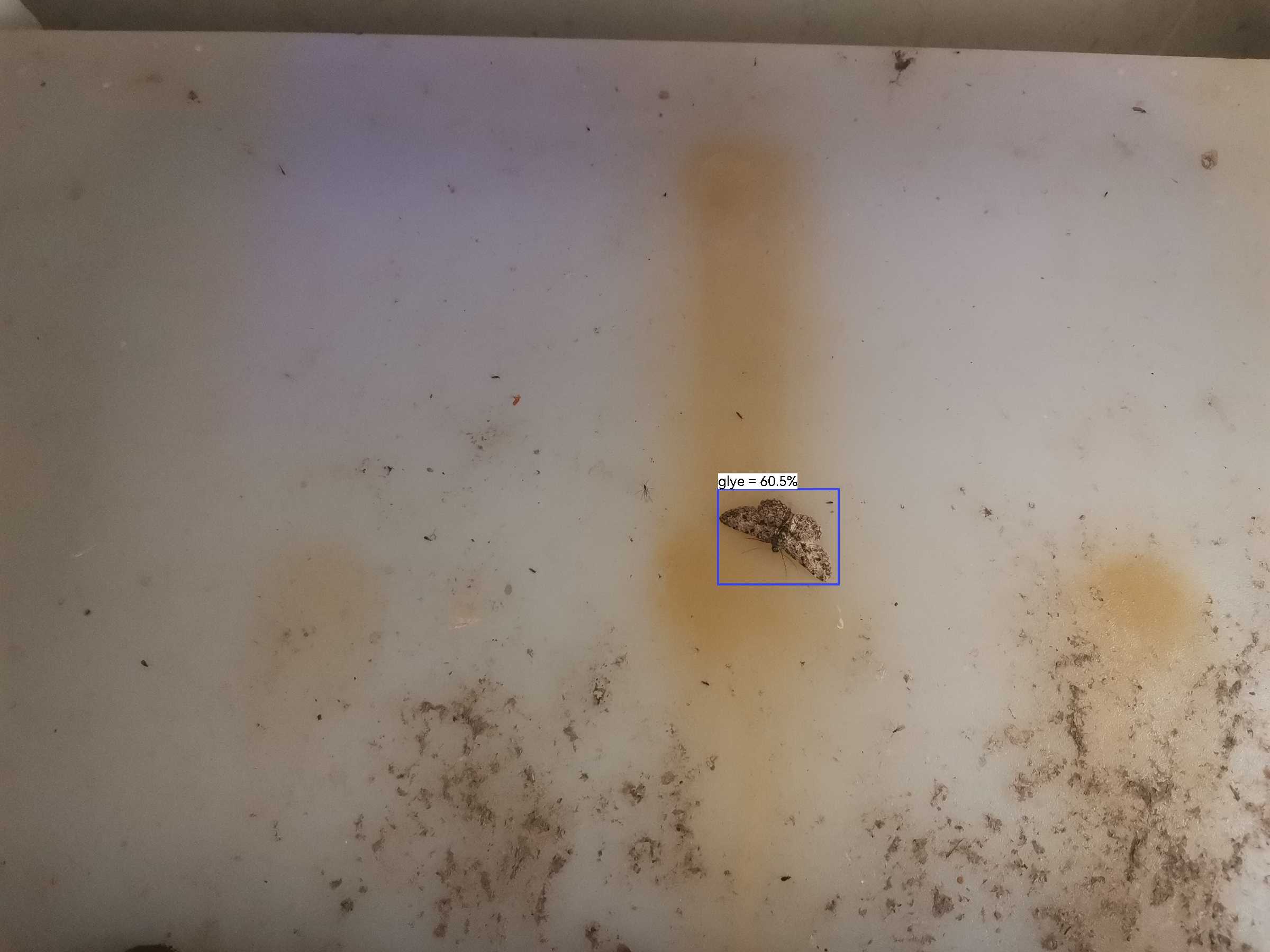 虫情图片23:15:08